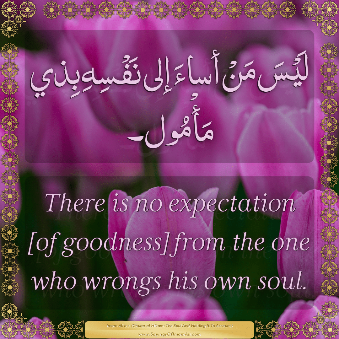 There is no expectation [of goodness] from the one who wrongs his own soul.